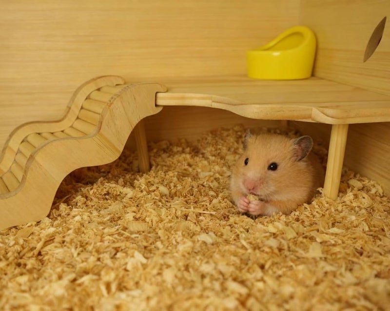 Feiena Wooden Hamster Platform for Hamster Cage Accessories Climbing Toys Dwarf Syrian Hamster Gerbil Rat Mice Degus or Other Small Pets (Triangle) - Image 5